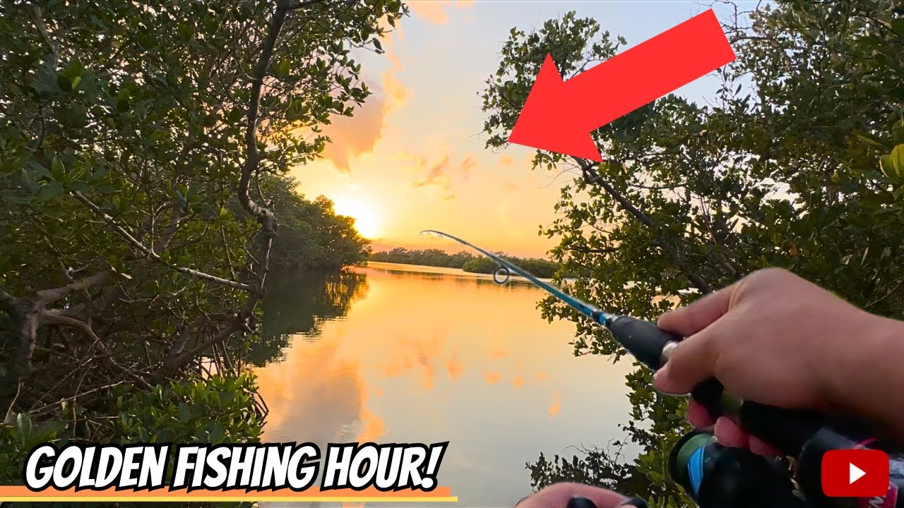 THIS Is Why You Fish At SUNSET! Saltwater Fishing In TAMPA BAY For