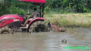 YANMAR  Tractor