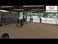 Sheridan County Fair