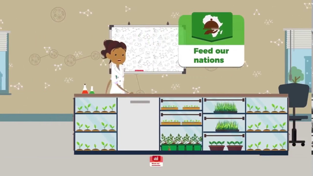 Made in Africa - Improved Agriculture Technology