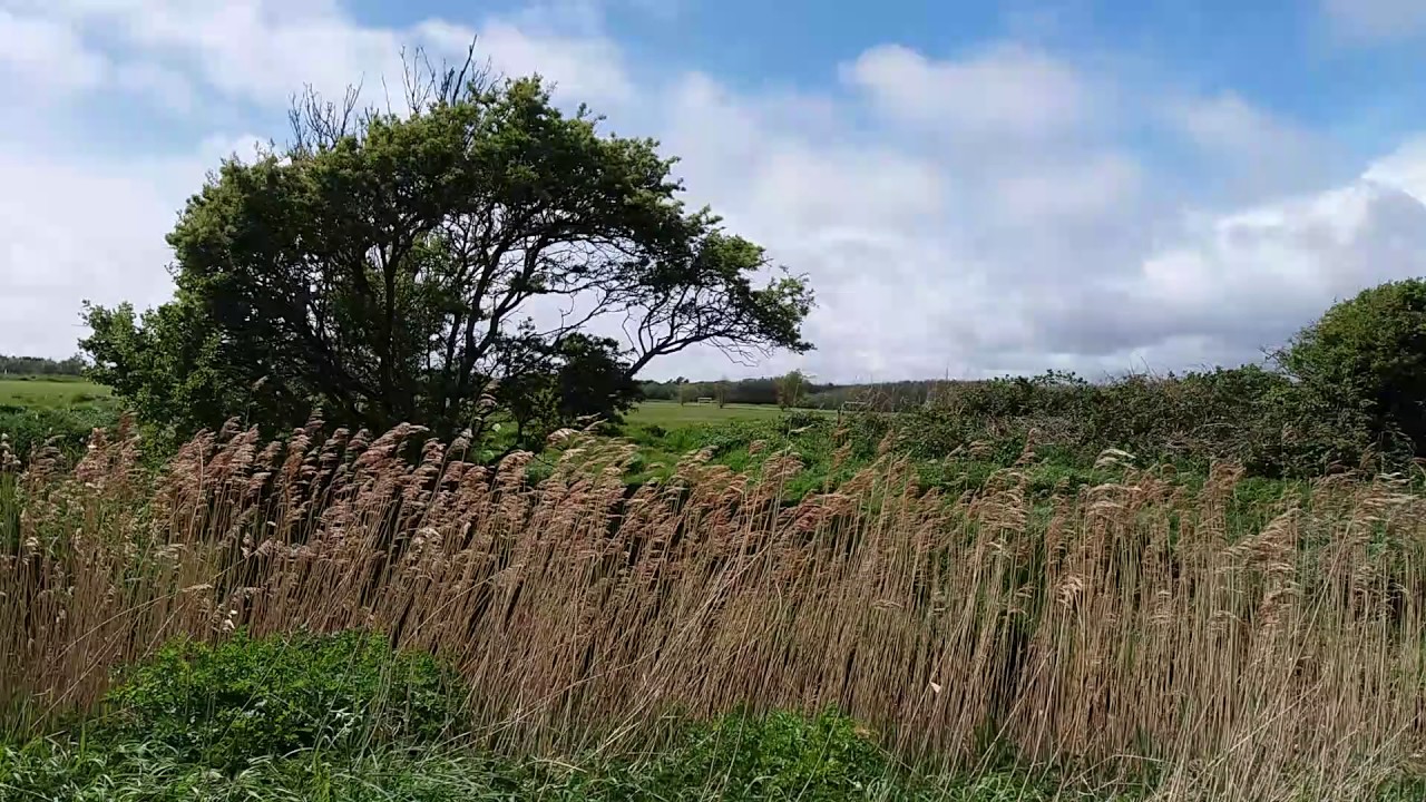 Coombe Valley. St Leonard-on-sea. Hastings. East Sussex.Uk(3)