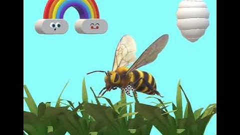3D BEE