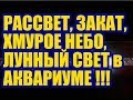 Светодиодный LED светильник для Аквариума. Тест режимов Контроллера. Освещение, свет в Аквариуме