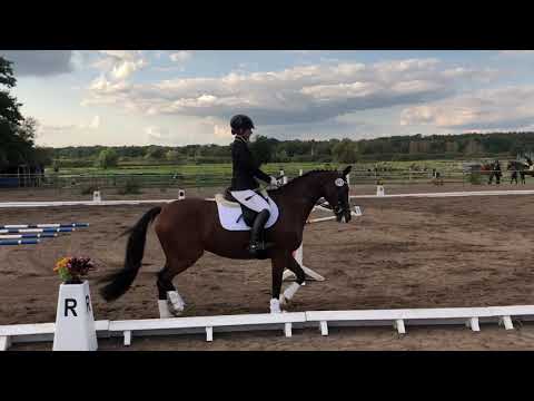 Lübars 01.09.2018, Caprilli-Test 2a, Note 8,0, 1. Platz