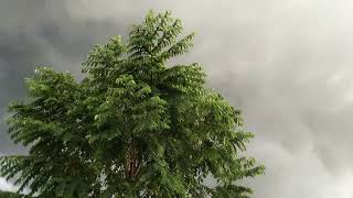 @Manoj Day 84 😐🥺🥺😇😇😇😇
