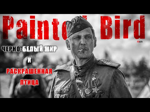 Черно-белый мир и Раскрашенная птица