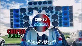 BULIN 47 X KEVIN WAI - DAME HOMBRO (DOBLE TONO) PARA MUSICÓLOGOS