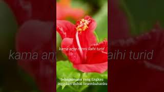 Download Lagu SHOLAWAT PENYEJUK HATI \u0026 PENENANG JIWA PENGABUL HAJAT MUSTAJAB DOA PEMBUKA PINTU REZEKI MERDU 2025 MP3
