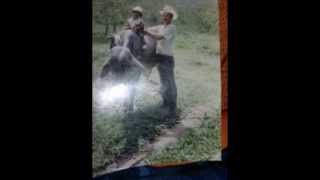 Mi Presentación De Diapositivas