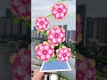 💫 When Your Art Starts Blooming... Literally🌼 #augmentedreality