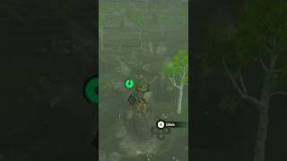 Get Rekt! #thelegendofzeldatearsofthekingdom #totk #gaming #switch2