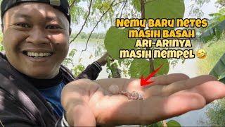 Waduh… ilang lagi,,, padahal tenoatnya sangat tersembunyi… 😨