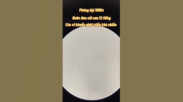 nước đun sôi cũng có hạn nhé