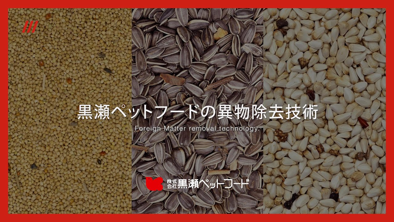 黒瀬ペットフードの異物除去技術