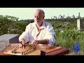Vladimir Gorodkin Canon In D By Pachelbel 
