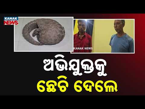 ଅଭିଯୁକ୍ତକୁ ଛେଚି ଦେଲେ Kalahandi Pangolin Rescue | Suspect Beaten After Arrest, Tension Reported