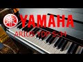 Yamaha arius ydp s34  features and demonstration