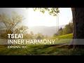 TSEAI – Inner Harmony (Original Mix) | Melodic Trance