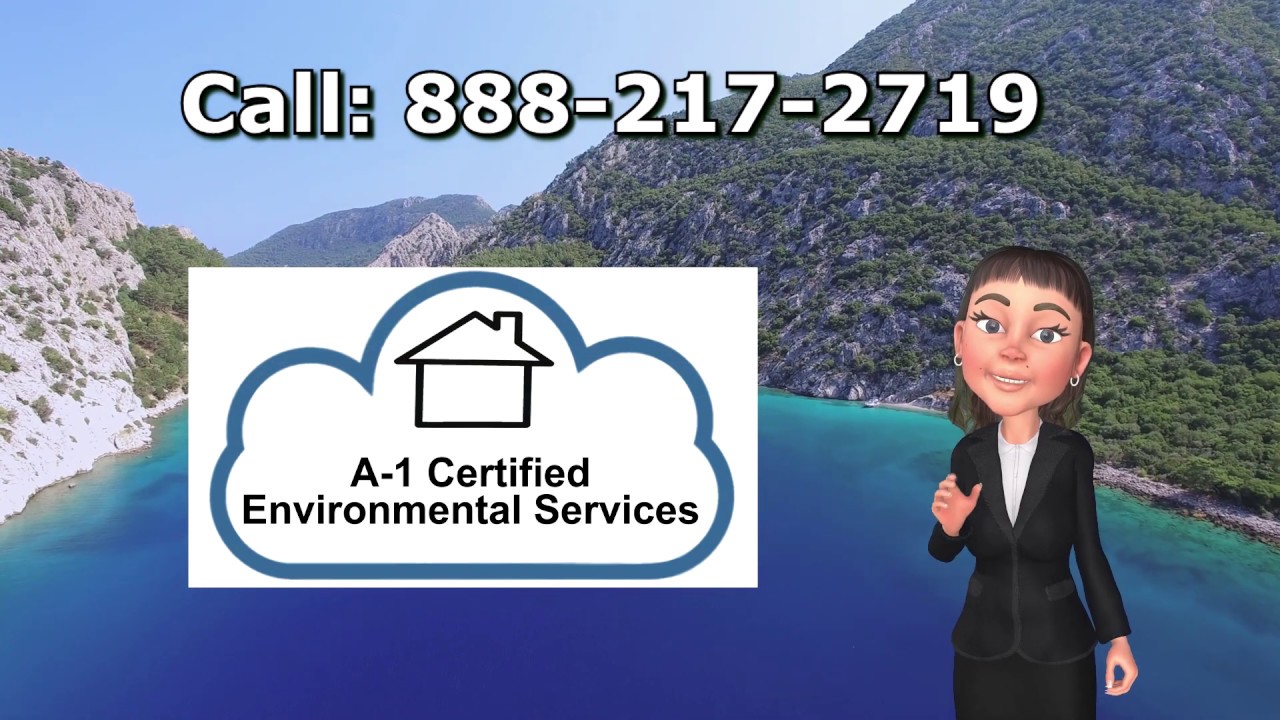 Mold Testing Glendale CA