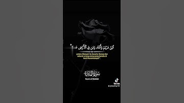القرآن الكريم #القرآن_الكريم #ماشاءالله #اكسبلور