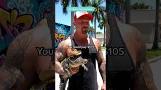 Car insurance? Cheaper than his gator’s snack budget 🐊💸😂 #shorts #crocodile  #motivation