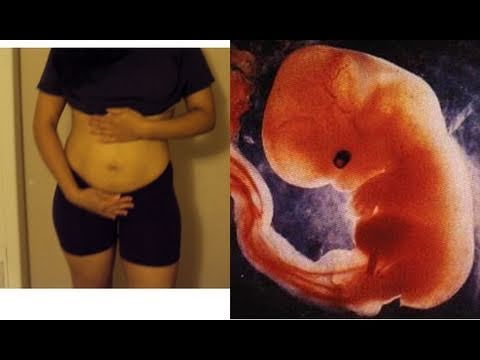 Panza De 6 Semanas de Embarazo y Desarrollo Del Embrion Feto - Pregnant Belly 6 Weeks