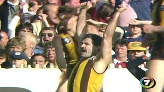 VFL 1983: Grand Final - Hawthorn highlights vs. Essendon