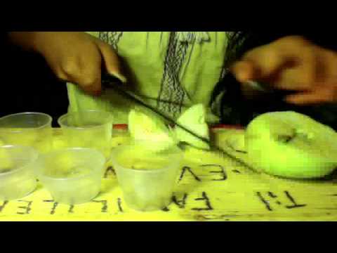 Hvordan man lager frukt isbit Part 1