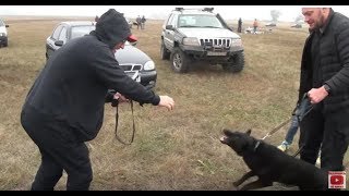 Тролим Русика.Пытаемся скормить его собаке))) off-road 4x4 Тролим Русика.Пытаемся скормить его собаке))) off-road 4x4