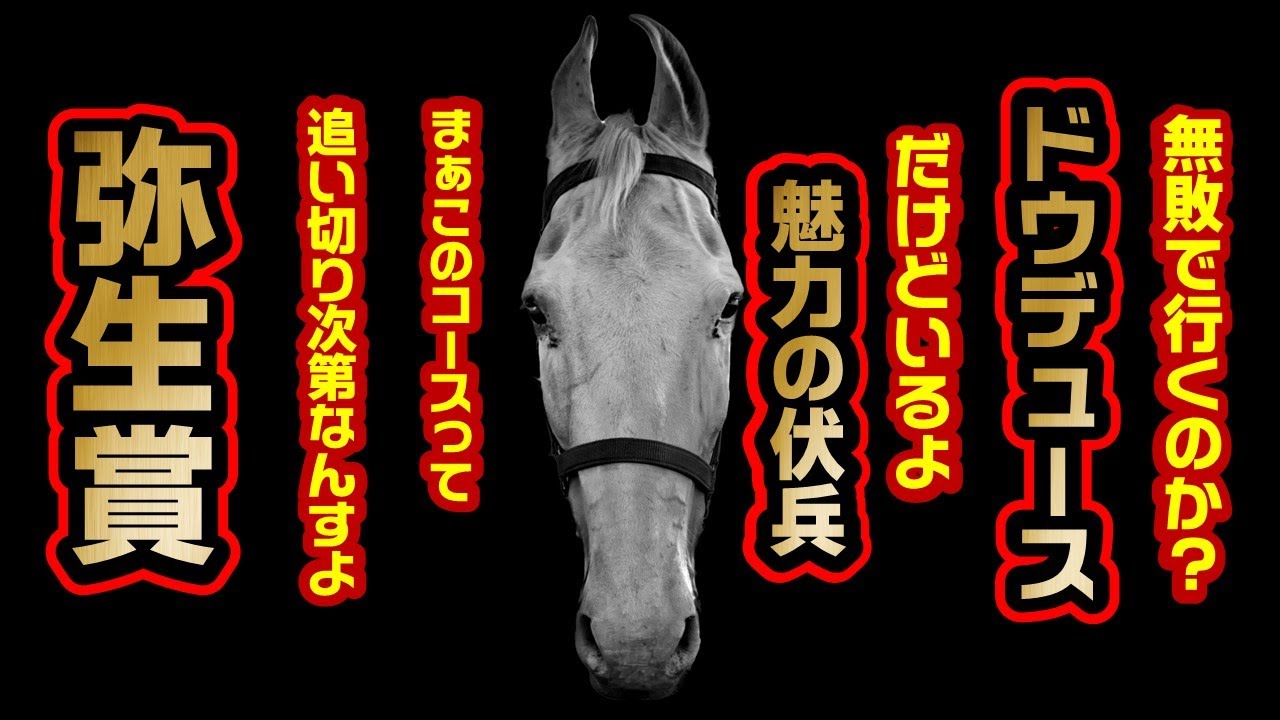 弥生賞 2022【ドウデュースは盤石なのか?】指数・注目馬紹介・クッション値と種牡馬・追い切りでチェックすべき坂路調教 YouTube 弥生賞 2022【ドウデュースは盤石なのか?】指数・注目馬紹介・クッション値と種牡馬・追い切りでチェックすべき坂路調教 YouTube