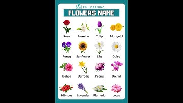 Thumbnail of Flowers Name in English