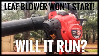 Troy Bilt Leaf Blower Won't Start! Will It Run?