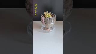 This repurposed mineral water bottle will prevent water leaks from your table #throwpots #flowerpots