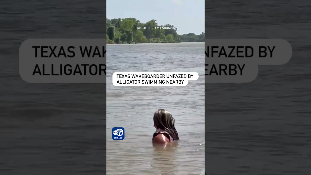 Texas Wakeboarder Unfazed By Alligator Swimming Nearby
