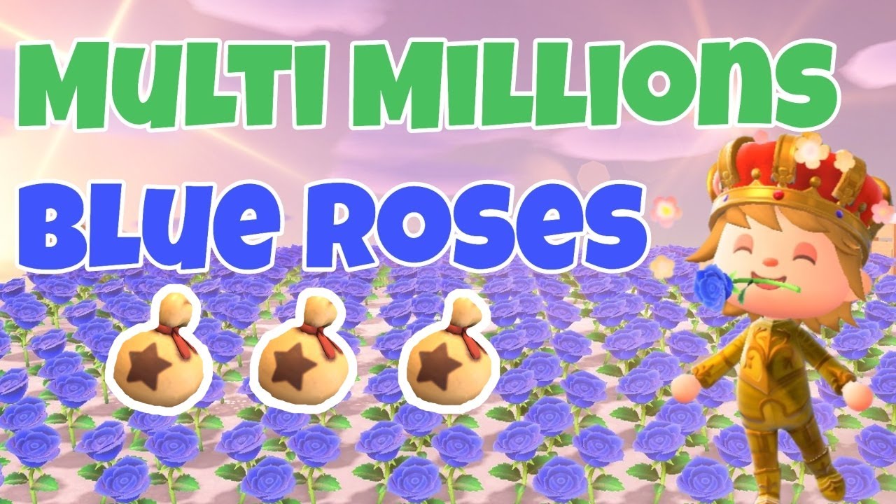 Create a Blue Rose Farm That MAKES YOU A LOT of BELLS!! ACNH YouTube