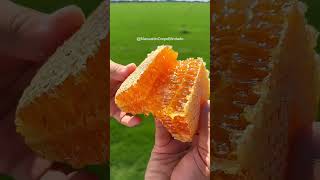 Top 5 ALIMENTOS simples que VALEM MAIS que REMÉDIO 🍯💊