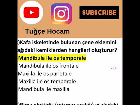 Ata Aöf ANATOMİ