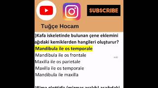 Ata Aöf ANATOMİ Soru Bankası çıkması muhtemel sorular @egitimhanemtv screenshot 3