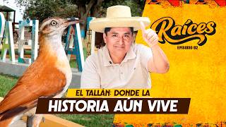 RAICES 2 EL TALLAN DONDE LA HISTORIA AUN VIVE