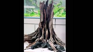 Aquarium Stump Natural Driftwood Cave