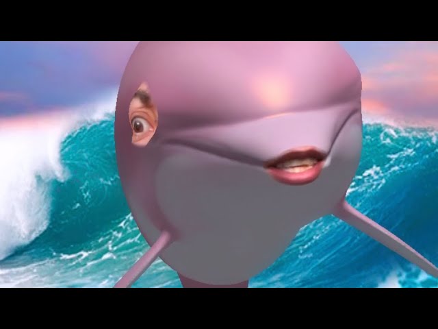 YouTube에서 🐬DOLPHIN 🐬BEATBOX 🌊 보기 YouTube에서 🐬DOLPHIN 🐬BEATBOX 🌊 보기