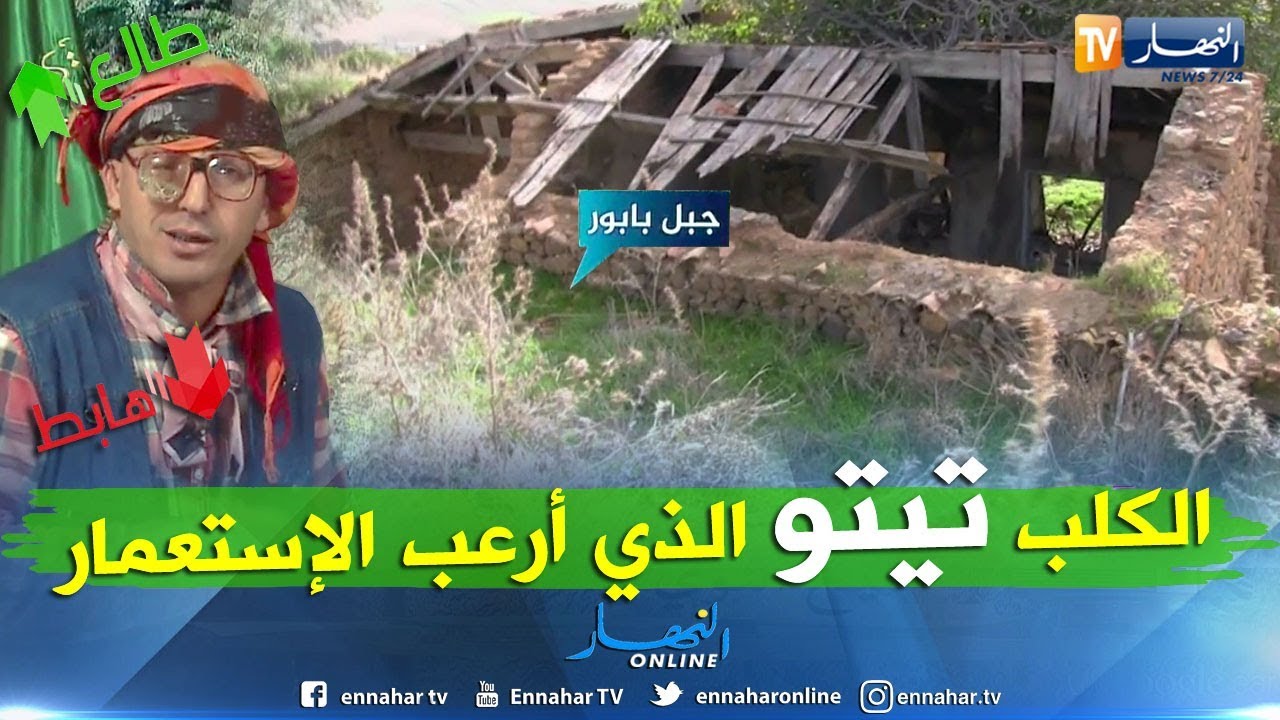 الشيخ النوي حصريا من جبال بني عزيز يأتي بشهادات حية لمجاهد وقصة الكلب تيتو قاهر الإستعمار