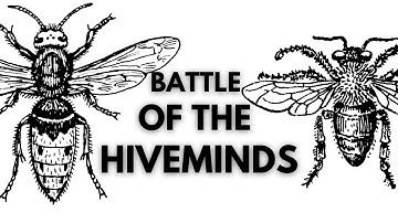 Hornets Vs Honeybees