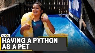 Meet 8-Yr-Old Inbars Python Pet Belle From Israel Python As Pet World News Wion