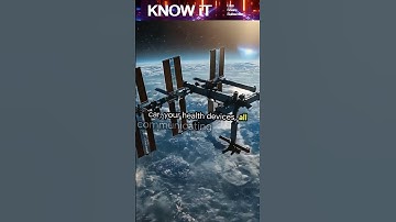 5G to 6G: 10 Facts About the Future of Internet Speeds 📶⚡