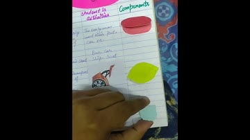 Skill of Illustration with examples (English) for B.Ed