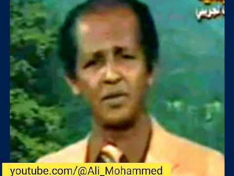 روحنا الى البندر في شهر نيسان نشتس نبيع الفل لكل ولهان محمد عطروش