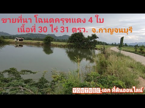 ขายที่นาโฉนดครุฑแดง(มี 4 โฉนด ) 30ไร่31ตรว. ขายยกแปลง 6.6 ล้านบาท จ.กาญจนบุรี