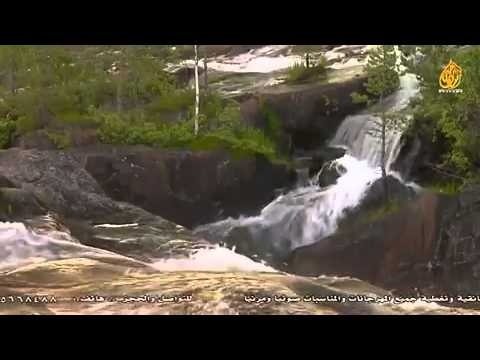 دع لذيذ الكرى