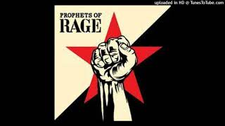 Prophets Of Rage - Radical Eyes